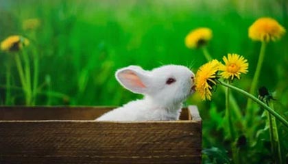 开云-TeamHeretics碾压阿森纳，Keria操刀奇招英雄翻盘焦点之战淘汰赛，锁定晋级资格