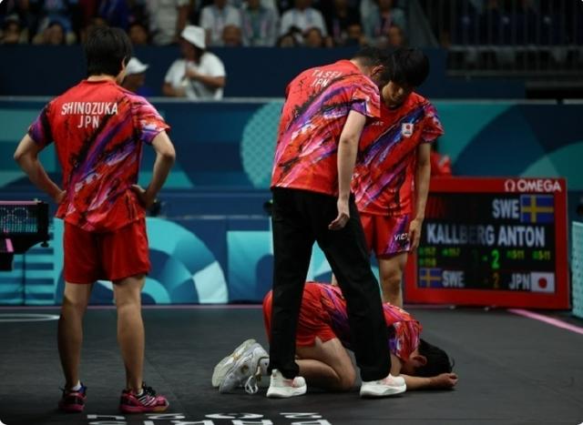 开云体育官网-关于波兰队翻盘法国队，张本智和统治全场的信息